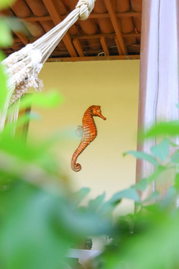 Ferienwohnung Casa Da Tete Fernando de Noronha Exterior foto
